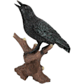 Miniatyrbillede 1 af 8: Ebros Gave Quoth The Raven Nevermore Realistisk Krage Fugl Kragen Sidder På Gren Figur 8.25\" Høj Skraldemand Fugl Ravne Krager Ossuarium