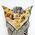Miniatyrbilde 2 av 2: Silkeskjerf Dame Bandanas Silkeskjerf Skjerf Halstørkle Silkeskjerf Skjerf