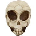 Miniatyrbillede 3 af 8: Ebros Roswell UFO Alien Honeycomb Elongated Skull Statue 8\"Lang Ekstra Terrestrial Skelet Monster Hoved Alkymi Ossuary Macabre     Dekorativ Multi