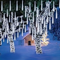 Miniatyrbilde 6 av 7: Julelys utendørs, 640 LED 16 rør 50 CM meteorskur regnlykter, plugg inn fallende istapplys juledekorasjon for juletre gårdsplass