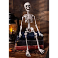 Miniatyrbillede 5 af 5: Poseable Skelet 20 tommer