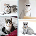 Miniatyrbillede 2 af 5: Kattesolbriller, Retro Kitten Solbriller med Rose Gold Chain Eye UV