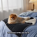 Miniatyrbild 3 av 5: Bedsure kattfilt för inomhuskatter - Vattentät lugnande kattfilt