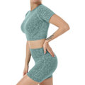 Miniatyrbild 3 av 5: Yoga-kläder för kvinnor 2-delat set träningsdräkt sömlös kortärmad crop top