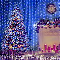 Miniatyrbilde 6 av 6: 410 fot julelys utendørs, 1000 LED lange blå julelysdekorasjoner, vanntette juletrelys, fjernkontroll juleblå