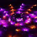 Miniatyrbillede 7 af 7: Halloween Spindelvæv Lys med Sort Edderkop, 4.26FT Diameter 84 LED Orange Lilla Web Lys med 8 Tilstande, Vandtæt med Timer Plugin