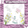 Miniatyrbillede 3 af 5: 100 stk lange balloner vridbare balloner DIY 260 latex ballon lang
