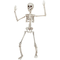 Miniatyrbillede 1 af 5: Poseable Skelet 20 tommer