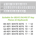 Miniatyrbillede 3 af 5: Klaver Keyboard Noter Guide til alle 88/61/54/49/37 tangenter