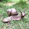 Miniatyrbild 3 av 5: 4 st snigelfigurer snigelmodell miniatyr snigel för älvträdgård