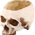 Miniatyrbillede 1 af 6: Ebros Caribien Jolly Roger Pirat Skattekiste Gotisk Sølv Sort Homosapien Kranie Askebæger Statue 4.5\" Høj Nautisk Ossuarium Makaber Halloween