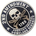 Miniatyrbillede 3 af 3: Homeland Security 2. patch - broderet stryge- eller sy-på emblem