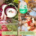 Miniatyrbild 3 av 4: Getingfälla Behållare 3-pack Getingsfällor Utomhus Hängande Tillbehör För Gula Jackor Getingar Och Getingar, Bifällor För Utomhuskomponent, Bärbar Wa 3