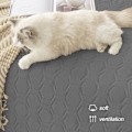 Miniatyrbillede 5 af 5: Vandtæt og skridsikker hundebedsbetræk og kæledyrstæppe Sofa kæledyrssengmåtte