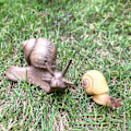 Miniatyrbild 5 av 5: 4 st snigelfigurer snigelmodell miniatyr snigel för älvträdgård