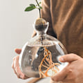 Miniatyrbillede 7 af 7: Avocado-frøstartervase-planter, gennemsigtig avocado-frøspireplanterpotte, avocadospiringskit, lille glasvase til blomster, til havearbejde A A