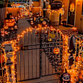 Miniatyrbilde 5 av 8: 500 LED Halloween-lys utendørs, 163FT 8 moduser oransje julelys innendørs klar ledning, utendørs vanntett oransje høstlys plugg inn for rom