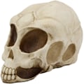 Miniatyrbillede 4 af 8: Ebros Roswell UFO Alien Honeycomb Elongated Skull Statue 8\"Lang Ekstra Terrestrial Skelet Monster Hoved Alkymi Ossuary Macabre     Dekorativ Multi