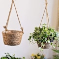 Miniatyrbild 6 av 7: Växtupphängningar Hängande korg Jute rep Hängande blomkorg Korgkorg Fällbar sjögräs Blomkruka Macrame växtupphängningar Suckulent Krukväxt 3