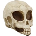 Miniatyrbillede 1 af 8: Ebros Roswell UFO Alien Honeycomb Elongated Skull Statue 8\"Lang Ekstra Terrestrial Skelet Monster Hoved Alkymi Ossuary Macabre     Dekorativ Multi