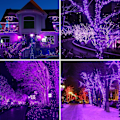 Miniatyrbild 5 av 7: 500 LED (250LEDx2) Lila Julbelysning, 163 FT Lila Ljusslingor Utomhus Vattentät, 8 Lägen Julbelysning Plug-in för Inomhus