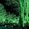 Miniatyrbilde 4 av 6: 2-pakning 400LED 72FT grønne solcelledlysslynger St. Patrick's Day-lys, grønne ledninger solcelledlysslynger utendørs vanntett, 8 moduser dekorative