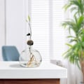 Miniatyrbillede 6 af 7: Avocado-frøstartervase-planter, gennemsigtig avocado-frøspireplanterpotte, avocadospiringskit, lille glasvase til blomster, til havearbejde A A