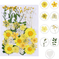 Miniatyrbillede 1 af 5: Tørrede pressede blomster, naturlige tørrede blomster, ægte pressede