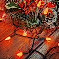 Miniatyrbilde 8 av 8: C3 Julelys 50 LED kommersielle LED-lyskjeder, 120V UL, 17FT grønn ledning Xmas-lys for innendørs og utendørs bruk, trær, sti,