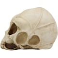 Miniatyrbillede 5 af 8: Ebros Roswell UFO Alien Honeycomb Elongated Skull Statue 8\"Lang Ekstra Terrestrial Skelet Monster Hoved Alkymi Ossuary Macabre     Dekorativ Multi