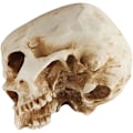 Miniatyrbillede 3 af 6: Ebros Caribien Jolly Roger Pirat Skattekiste Gotisk Sølv Sort Homosapien Kranie Askebæger Statue 4.5\" Høj Nautisk Ossuarium Makaber Halloween