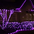 Miniatyrbillede 8 af 8: Lilla Halloween Net Lights til Udendørs - 360 LED Net Lights Vandtætte med Fjernbetjening, 12x5 ft Udvidelige 8 Tilstande Jule Net Lights med Grøn Ledning