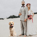 Miniatyrbillede 3 af 8: Sort slips til hunde, justerbar slips til hunde med butterfly, til mellemstore og store hunde, katte, kæledyr, bryllup, fødselsdag, dimission, ferie, jul, kostumer