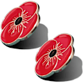 Miniatyrbilde 1 av 2: Lest We Forget Poppy Pin Badge Brosje: Remembrance Day Poppy Badges for Veteraner og Militær
