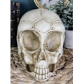 Miniatyrbillede 8 af 8: Ebros Roswell UFO Alien Honeycomb Elongated Skull Statue 8\"Lang Ekstra Terrestrial Skelet Monster Hoved Alkymi Ossuary Macabre     Dekorativ Multi