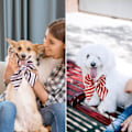 Miniatyrbillede 6 af 7: 50 stk. Hundesløjfe, Justerbare Sløjfe Kraver til Små Mellemstore Hunde, Komfortable Katte Hals Sløjfe Stor Hvalp Søde Halstørklæder Kæledyr Pleje Elegant