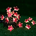 Miniatyrbild 3 av 5: Rosa blomsterfe slingor, 10FT 30 LED juldekorationer batteridrivna lampor för inomhus utomhus sovrumslampor, sovsal, rum, bröllop,