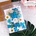 Miniatyrbillede 4 af 5: Tørrede pressede blomster, naturlige tørrede blomster, ægte pressede