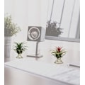 Miniatyrbillede 3 af 5: Geometrisk luftplanteholder (Guld 3 stk) - Metall Tillandsia Krukhylder