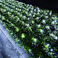 Miniatyrbillede 1 af 8: 12ft x 5ft 360 LED julelysnet, 8 tilstande vandtæt med timer lavspænding tilslutningsbart netlys til træer, buske, buske, have,