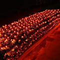 Miniatyrbillede 1 af 6: Julelys Net, 12ft x 5ft 360 LED Stik i 8 Tilstande Busk Netlys Sammenkædelig til Juletræer Bryllup Buske Have Udendørs Orange