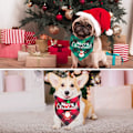 Miniatyrbillede 2 af 5: 2 Pakke Hunde Bandana Jul Klassisk Ternet Kæledyr Tørklæde Trekant Hagesmæk