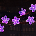 Miniatyrbillede 2 af 7: Fairy Flower String Lights Lilla Dekorative Lys 33 Fod 100LED Stjerneformet Kirsebærblomst Belysning, Blomsterlampe til Jul Halloween Bryllup