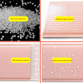 Miniatyrbild 2 av 6: 50 Styck Rosa Poly Bubble Mailers Vadderade kuvert Bulk Bubble Fodrade Wrap Polymailer påsar för frakt Förpackning Maile Self Seal white-50pcs 11*15cm