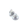 Miniatyrbild 6 av 8: 10 st Hårklippare Skruv för WAHL 8591 Bit Screw Fast Bit Skruv Silver