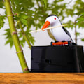 Miniatyrbild 7 av 8: e Hummingbird Tandpetare Dispenser Automatisk Bird Tandpetare Box C