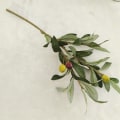 Miniatyrbild 6 av 8: Konstgjorda olivblad Olivträdgrenar Gröna blad hem