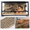 Miniatyrbild 7 av 8: Reptilterrarium för Lizard Lounger Hängmatta Små eremitkräftor C