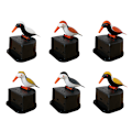 Miniatyrbild 8 av 8: e Hummingbird Tandpetare Dispenser Automatisk Bird Tandpetare Box C