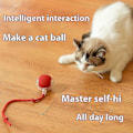 Miniatyrbild 5 av 5: Kattinteraktiv bollleksak Automatisk rullande boll Falsk svans Uppladdningsbar Smart husdjur Elektrisk leksak Hund Kattträning Imitera mus-FÄRG: grå